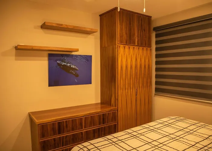Apartamento New W/rooftop Pool&view