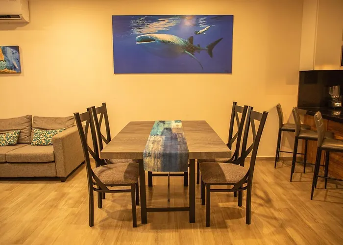 Apartamento New W/rooftop Pool&view Cabo San Lucas